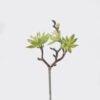 Artificial succulent 17*15*28cm succulent single stem GS-30324004CT 2024Jul YeahFlower is one of Chinese leading OEM manufacturers and exporters , supplying the silk flowers, wholesale artificial trees