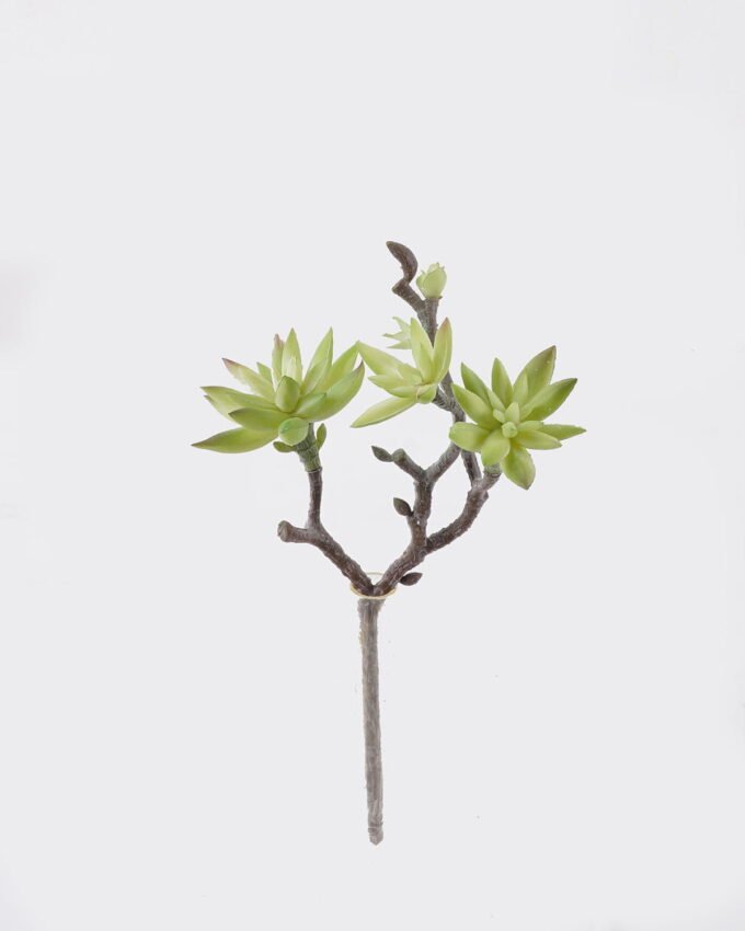 Artificial succulent 17*15*28cm succulent single stem GS-30324004CT 2024Jul YeahFlower is one of Chinese leading OEM manufacturers and exporters , supplying the silk flowers, wholesale artificial trees