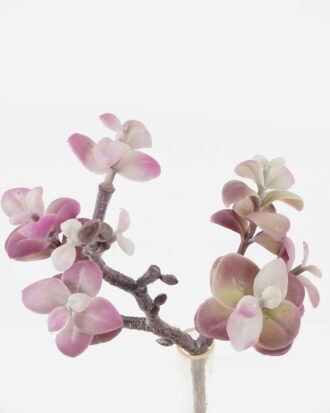 Artificial succulent 18*10*28cm succulent single stem GS-30324005CT-G2 2024Jul YeahFlower is one of Chinese leading OEM manufacturers and exporters , supplying the silk flowers, wholesale artificial trees