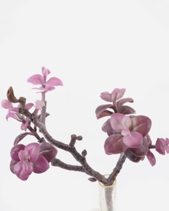 Artificial succulent 18*10*28cm succulent single stem GS-30324005CT 2024Jul YeahFlower is one of Chinese leading OEM manufacturers and exporters , supplying the silk flowers, wholesale artificial trees