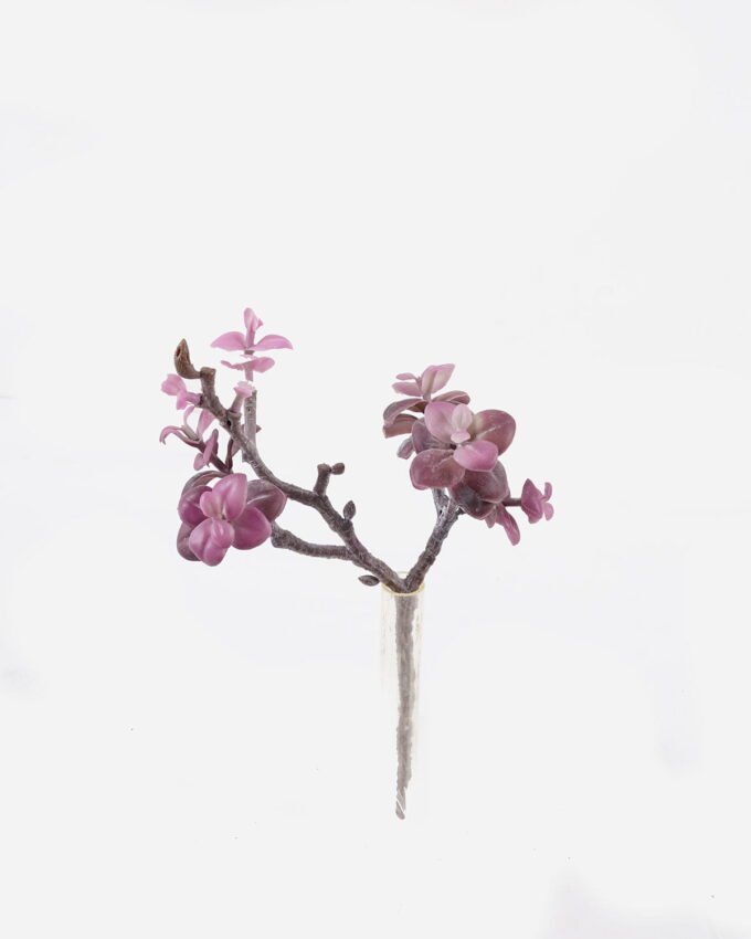 Artificial succulent 18*10*28cm succulent single stem GS-30324005CT 2024Jul YeahFlower is one of Chinese leading OEM manufacturers and exporters , supplying the silk flowers, wholesale artificial trees