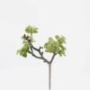 Artificial succulent 18*10*28cm succulent single stem GS-30324005CT 2024Jul YeahFlower is one of Chinese leading OEM manufacturers and exporters , supplying the silk flowers, wholesale artificial trees
