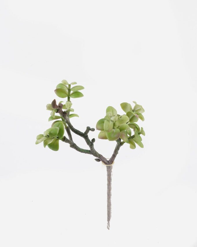 Artificial succulent 18*10*28cm succulent single stem GS-30324005CT 2024Jul YeahFlower is one of Chinese leading OEM manufacturers and exporters , supplying the silk flowers, wholesale artificial trees