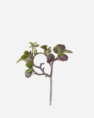Artificial succulent 20*16*30cm succulent single stem GS-30324006CT-Z2 2024Jul YeahFlower is one of Chinese leading OEM manufacturers and exporters , supplying the silk flowers, wholesale artificial trees