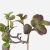 Artificial succulent 20*16*30cm succulent single stem GS-30324006CT-Z2 2024Jul YeahFlower is one of Chinese leading OEM manufacturers and exporters , supplying the silk flowers, wholesale artificial trees
