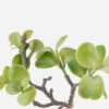 Artificial succulent 20*16*30cm succulent single stem GS-30324006CT 2024Jul YeahFlower is one of Chinese leading OEM manufacturers and exporters , supplying the silk flowers, wholesale artificial trees