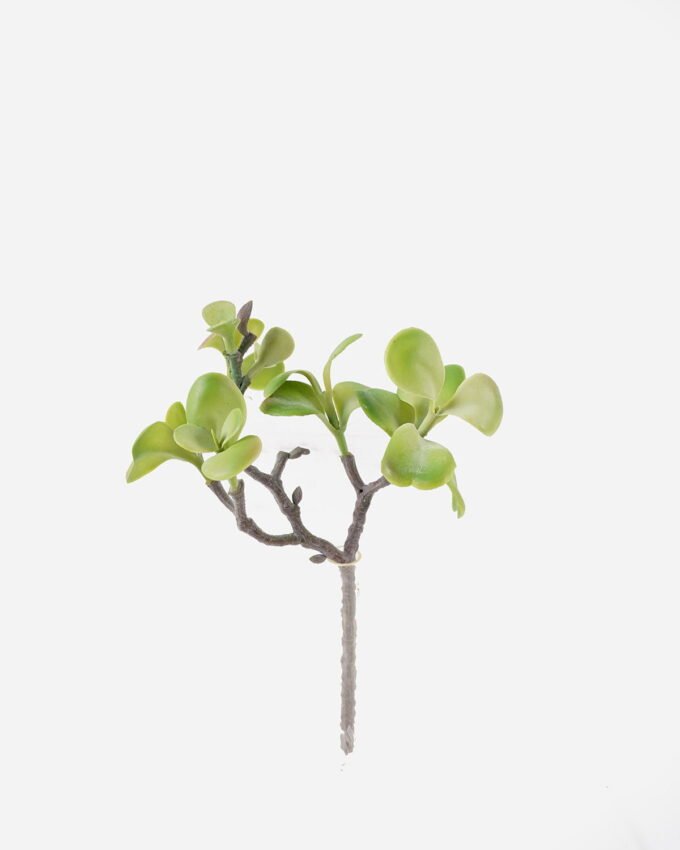 Artificial succulent 20*16*30cm succulent single stem GS-30324006CT 2024Jul YeahFlower is one of Chinese leading OEM manufacturers and exporters , supplying the silk flowers, wholesale artificial trees