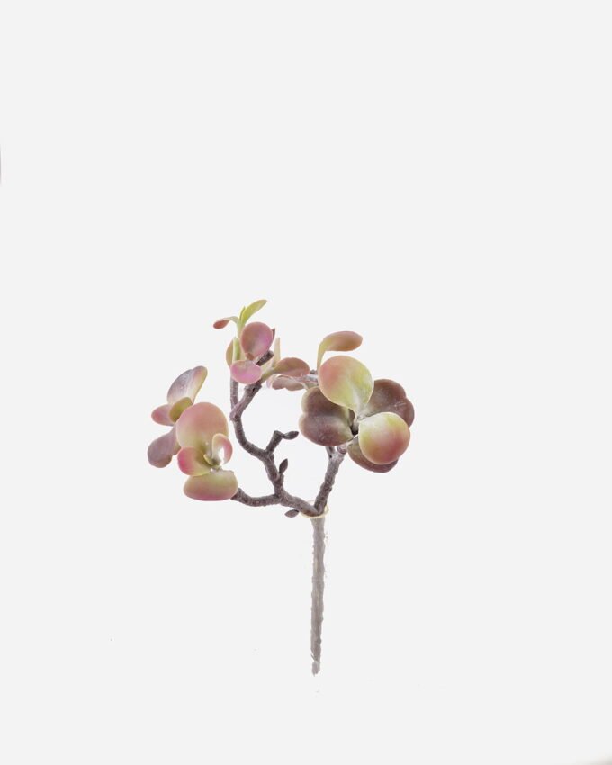 Artificial succulent 20*16*30cm succulent single stem GS-30324006CT 2024Jul YeahFlower is one of Chinese leading OEM manufacturers and exporters , supplying the silk flowers, wholesale artificial trees