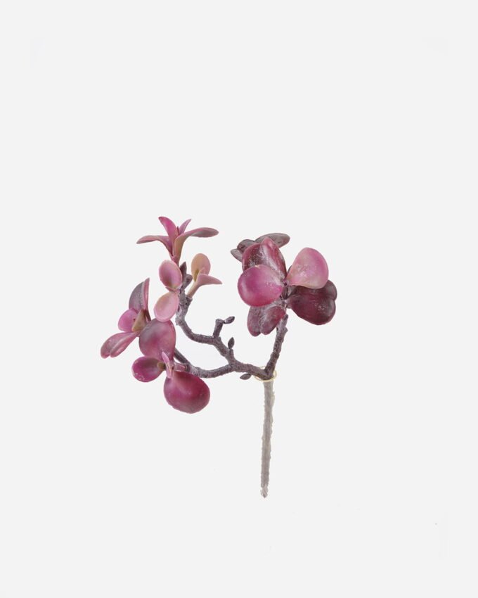 Artificial succulent 20*16*30cm succulent single stem GS-30324006CT 2024Jul YeahFlower is one of Chinese leading OEM manufacturers and exporters , supplying the silk flowers, wholesale artificial trees