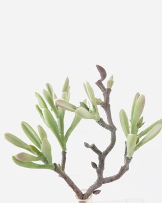 Artificial succulent 20*15*29cm succulent single stem GS-30324007CT-G1 2024Jul YeahFlower is one of Chinese leading OEM manufacturers and exporters , supplying the silk flowers, wholesale artificial trees