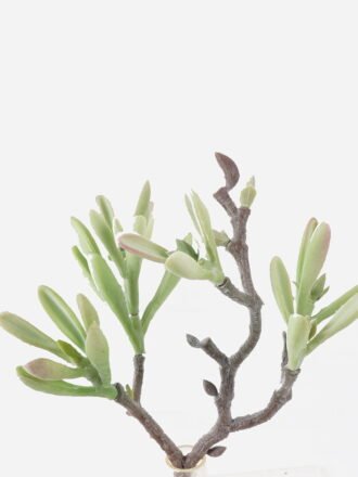 Artificial succulent 18*14*28cm succulent single stem GS-30324008CT Succulent 3,000+ sqm showroom with thousands of artificial flowers, plants & trees ready for global sourcing.