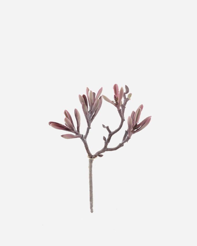 Artificial succulent 20*15*29cm succulent single stem GS-30324007CT 2024Jul YeahFlower is one of Chinese leading OEM manufacturers and exporters , supplying the silk flowers, wholesale artificial trees