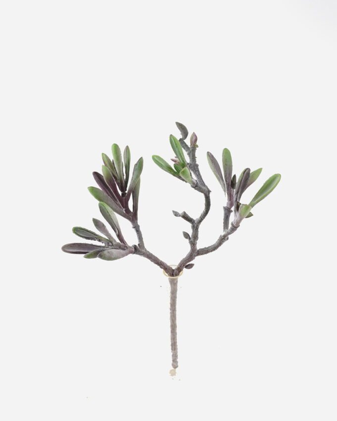 Artificial succulent 20*15*29cm succulent single stem GS-30324007CT 2024Jul YeahFlower is one of Chinese leading OEM manufacturers and exporters , supplying the silk flowers, wholesale artificial trees