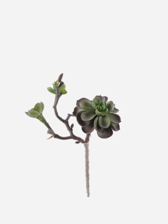 Artificial succulent 20*10*28cm succulent single stem GS-30324001CT Succulent 3,000+ sqm showroom with thousands of artificial flowers, plants & trees ready for global sourcing.