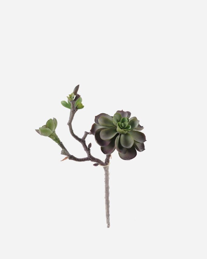 Artificial succulent 18*14*28cm succulent single stem GS-30324008CT-Z2 2024Jul YeahFlower is one of Chinese leading OEM manufacturers and exporters , supplying the silk flowers, wholesale artificial trees
