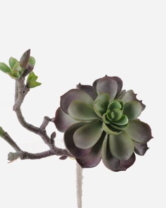 Artificial succulent 18*14*28cm succulent single stem GS-30324008CT-Z2 2024Jul YeahFlower is one of Chinese leading OEM manufacturers and exporters , supplying the silk flowers, wholesale artificial trees