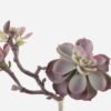 Artificial succulent 18*14*28cm succulent single stem GS-30324008CT 2024Jul YeahFlower is one of Chinese leading OEM manufacturers and exporters , supplying the silk flowers, wholesale artificial trees