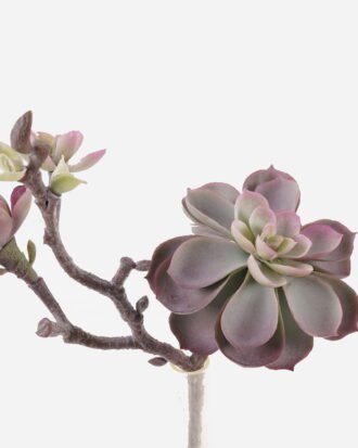 Artificial succulent 18*14*28cm succulent single stem GS-30324008CT 2024Jul YeahFlower is one of Chinese leading OEM manufacturers and exporters , supplying the silk flowers, wholesale artificial trees