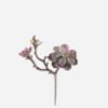 Artificial succulent 18*14*28cm succulent single stem GS-30324008CT 2024Jul YeahFlower is one of Chinese leading OEM manufacturers and exporters , supplying the silk flowers, wholesale artificial trees