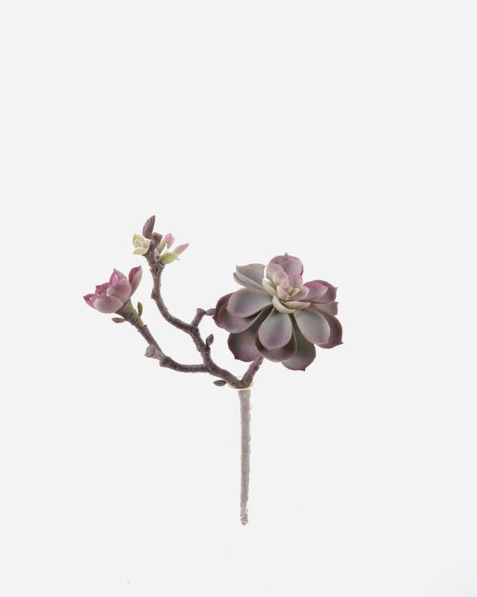 Artificial succulent 18*14*28cm succulent single stem GS-30324008CT 2024Jul YeahFlower is one of Chinese leading OEM manufacturers and exporters , supplying the silk flowers, wholesale artificial trees