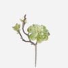 Artificial succulent 18*14*28cm succulent single stem GS-30324008CT 2024Jul YeahFlower is one of Chinese leading OEM manufacturers and exporters , supplying the silk flowers, wholesale artificial trees
