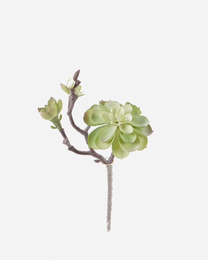 Artificial succulent 18*14*28cm succulent single stem GS-30324008CT 2024Jul YeahFlower is one of Chinese leading OEM manufacturers and exporters , supplying the silk flowers, wholesale artificial trees
