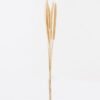 Artificial Flower 70cm Timothy grass  GS-56624034 2024Aug YeahFlower is one of Chinese leading OEM manufacturers and exporters , supplying the silk flowers, wholesale artificial trees