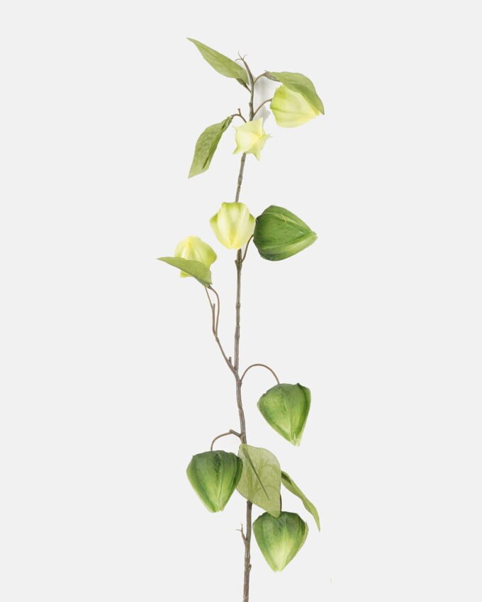 Artificial Flower 14*14*95cm  Agapetes lacei  single stem GS-73324036KC 2024SEP YeahFlower is one of Chinese leading OEM manufacturers and exporters , supplying the silk flowers, wholesale artificial trees