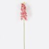 Artificial Flower 12*77CM Aragoana GS-3910038-P1 2024Aug YeahFlower is one of Chinese leading OEM manufacturers and exporters , supplying the silk flowers, wholesale artificial trees