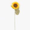 Artificial Flower 30*30*78cm  Autumn sunflower  single stem GS-73324023-Y1 2024SEP YeahFlower is one of Chinese leading OEM manufacturers and exporters , supplying the silk flowers, wholesale artificial trees