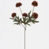 Artificial Flower Bolocephalus 5 single stem GS-16824038-K1_2 Artificial Flower 16*16*48cm Bolocephalus *5 single stem GS-16824038-K1 2024SEP YeahFlower is one of Chinese leading OEM manufacturers and exporters , supplying the silk flowers, wholesale artificial trees