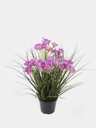 Artificial Flower 25*25*30cm Cephalostigma *5 in PP pot GS-61924058 Potted Flowers&Plants 3,000+ sqm showroom with thousands of artificial flowers, plants & trees ready for global sourcing.
