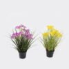 Artificial Flower Cephalostigma 5 in PP pot GS-61924058_1 Artificial Flower 25*25*30cm Cephalostigma *5 in PP pot GS-61924058 2024SEP YeahFlower is one of Chinese leading OEM manufacturers and exporters , supplying the silk flowers, wholesale artificial trees