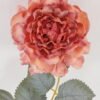 Artificial Flower Chinese Rose single stem GS-68024004-O1_4 Artificial Flower 9*9*41cm Chinese Rose single stem GS-68024004-O1 2024Aug YeahFlower is one of Chinese leading OEM manufacturers and exporters , supplying the silk flowers, wholesale artificial trees