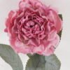 Artificial Flower 9*9*41cm Chinese Rose single stem GS-68024004-R2 2024Aug YeahFlower is one of Chinese leading OEM manufacturers and exporters , supplying the silk flowers, wholesale artificial trees