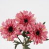 Artificial Flower 18*18*32cm Chrysanthemum *3 bush GS-16824046-R1 Bouquet 3,000+ sqm showroom with thousands of artificial flowers, plants & trees ready for global sourcing.