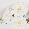 Artificial Flower 25*25*32cm Chrysanthemum*5 bush GS-68024013-W1 2024SEP YeahFlower is one of Chinese leading OEM manufacturers and exporters , supplying the silk flowers, wholesale artificial trees