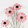 Artificial Flower 26*26*60cm Gerbera *4 single stem GS-16824036-R1 2024SEP YeahFlower is one of Chinese leading OEM manufacturers and exporters , supplying the silk flowers, wholesale artificial trees