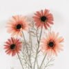 Artificial Flower 26*26*60cm Gerbera *4 single stem GS-16824036-R2 2024SEP YeahFlower is one of Chinese leading OEM manufacturers and exporters , supplying the silk flowers, wholesale artificial trees