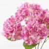 Artificial Flower 26*26*49cm Hydrangea *5 bush GS-17724056-R1 Flowers Bush YeahFlower is one of Chinese leading OEM manufacturers and exporters , supplying the silk flowers, wholesale artificial trees