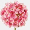 Artificial Flower 10*10*61cm  Hydrangea  single stem GS-536240026-P3 Single Flowers 3,000+ sqm showroom with thousands of artificial flowers, plants & trees ready for global sourcing.