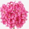 Artificial Flower 10*10*61cm  Hydrangea  single stem GS-536240026-R2 Single Flowers 3,000+ sqm showroom with thousands of artificial flowers, plants & trees ready for global sourcing.