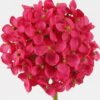Artificial Flower 10*10*61cm  Hydrangea  single stem GS-536240026-R3 2024SEP YeahFlower is one of Chinese leading OEM manufacturers and exporters , supplying the silk flowers, wholesale artificial trees