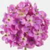 Artificial Flower Hydrangea single stem GS-536240026-Z2_1 Artificial Flower 10*10*61cm Hydrangea single stem GS-536240026-Z2 2024SEP YeahFlower is one of Chinese leading OEM manufacturers and exporters , supplying the silk flowers, wholesale artificial trees