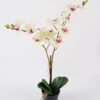 Artificial-Flower-Orchid-in-PP-pot-GS-03324022_4.jpg Artificial Flower 49*17*57cm Orchid in PP pot GS-03324022 2024Aug YeahFlower is one of Chinese leading OEM manufacturers and exporters , supplying the silk flowers, wholesale artificial trees