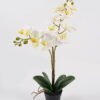 Artificial Flower 41*20*52cm Orchid in PP pot GS-03324023-P0P6 2024Aug YeahFlower is one of Chinese leading OEM manufacturers and exporters , supplying the silk flowers, wholesale artificial trees