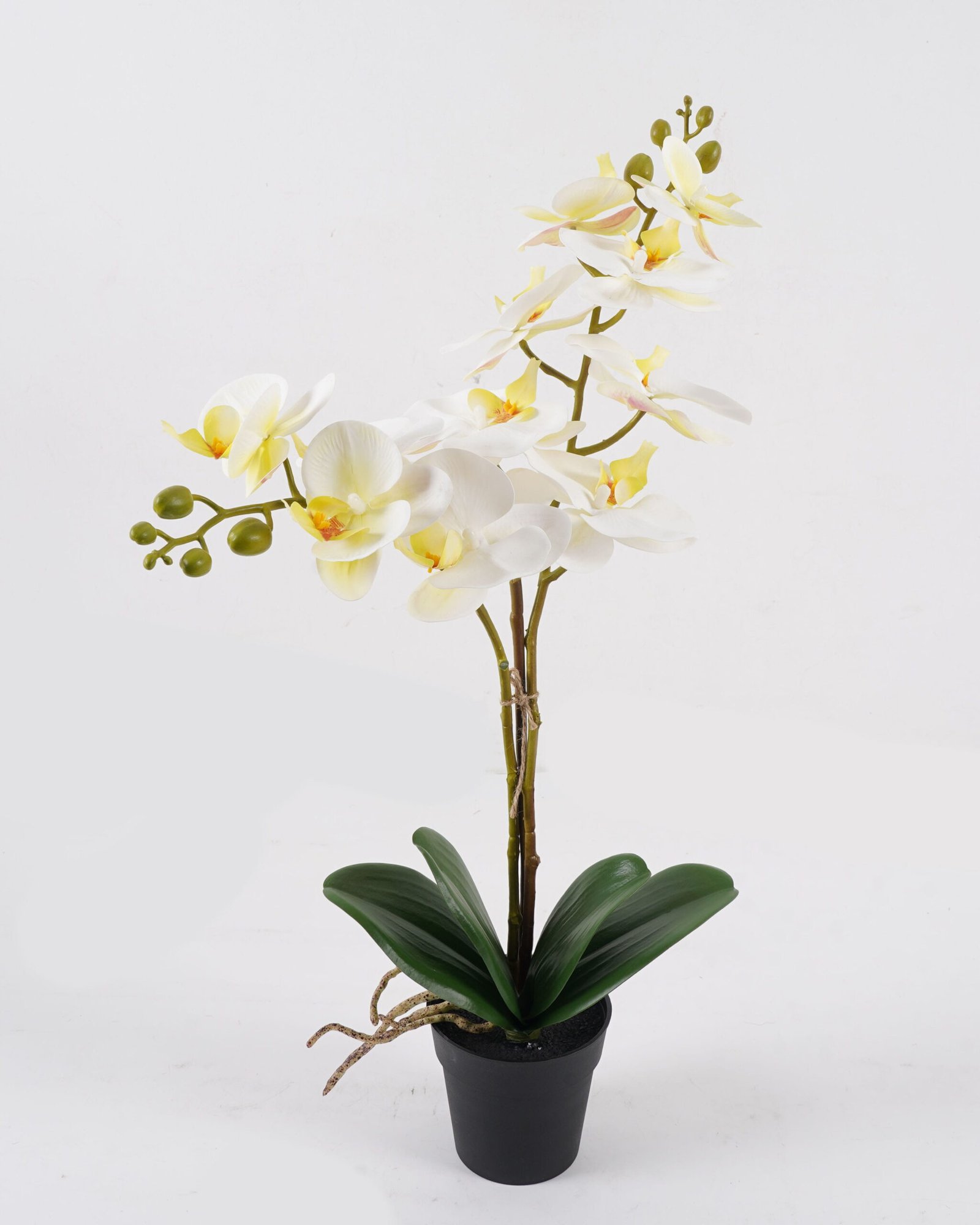 Artificial Table Plants 22*22*26 Hibiscus in PP pot GS-03324019 2024Jul YeahFlower is one of Chinese leading OEM manufacturers and exporters , supplying the silk flowers, wholesale artificial trees
