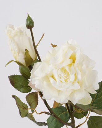 Artificial Flower 21*21*67cm Rose *2 single stem GS-35124003-W1 2024SEP YeahFlower is one of Chinese leading OEM manufacturers and exporters , supplying the silk flowers, wholesale artificial trees Artificial Flower 21*21*67cm Rose *2 single stem GS-35124003-W1 2024SEP YeahFlower is one of Chinese leading OEM manufacturers and exporters , supplying the silk flowers, wholesale artificial trees