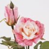 Artificial Flower 21*21*67cm Rose *2 single stem GS-35124003 2024SEP YeahFlower is one of Chinese leading OEM manufacturers and exporters , supplying the silk flowers, wholesale artificial trees