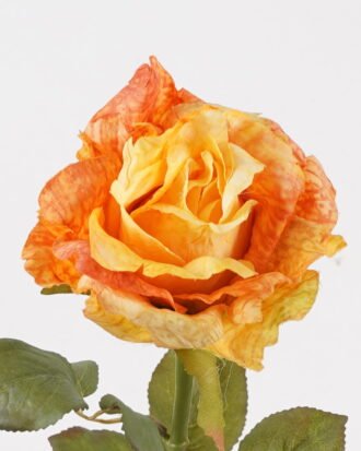 Artificial Flower 14*14*66cm Rose single stem GS-35124004-Y1 2024SEP YeahFlower is one of Chinese leading OEM manufacturers and exporters , supplying the silk flowers, wholesale artificial trees Artificial Flower 14*14*66cm Rose single stem GS-35124004-Y1 2024SEP YeahFlower is one of Chinese leading OEM manufacturers and exporters , supplying the silk flowers, wholesale artificial trees